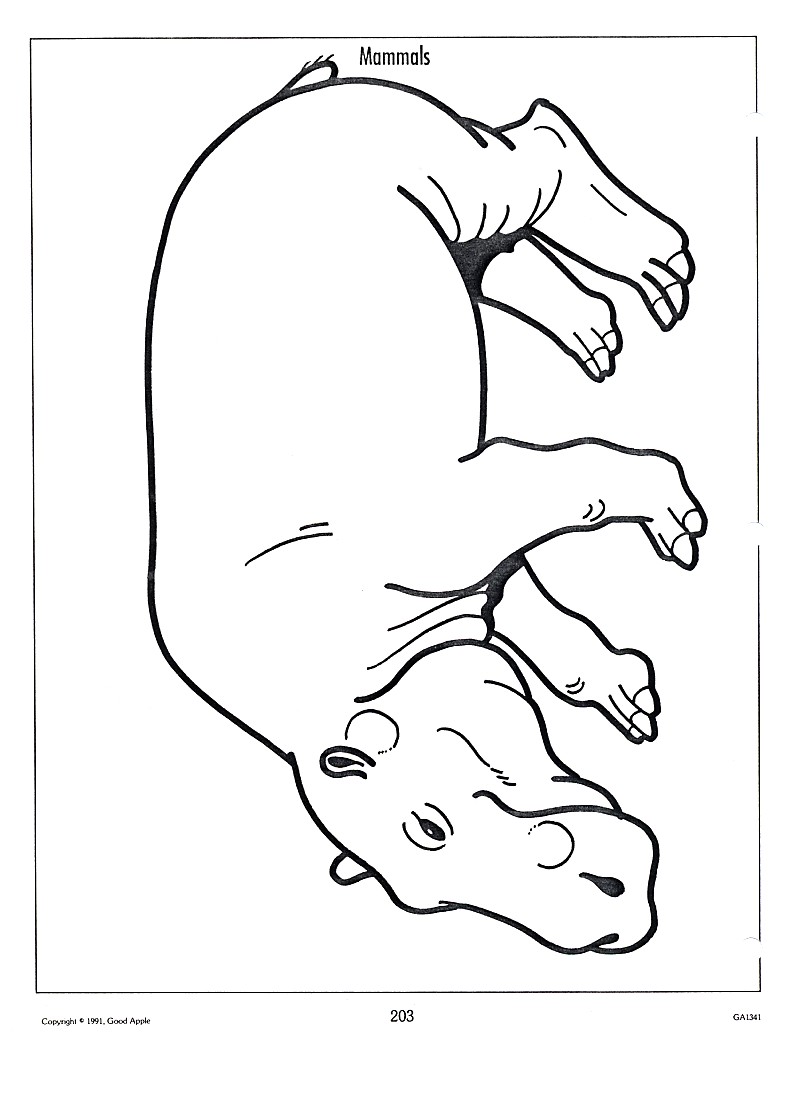 Hipopotam Kolorowanka - Kreatywna Zabawa dla Dzieci kolorowanka do druku